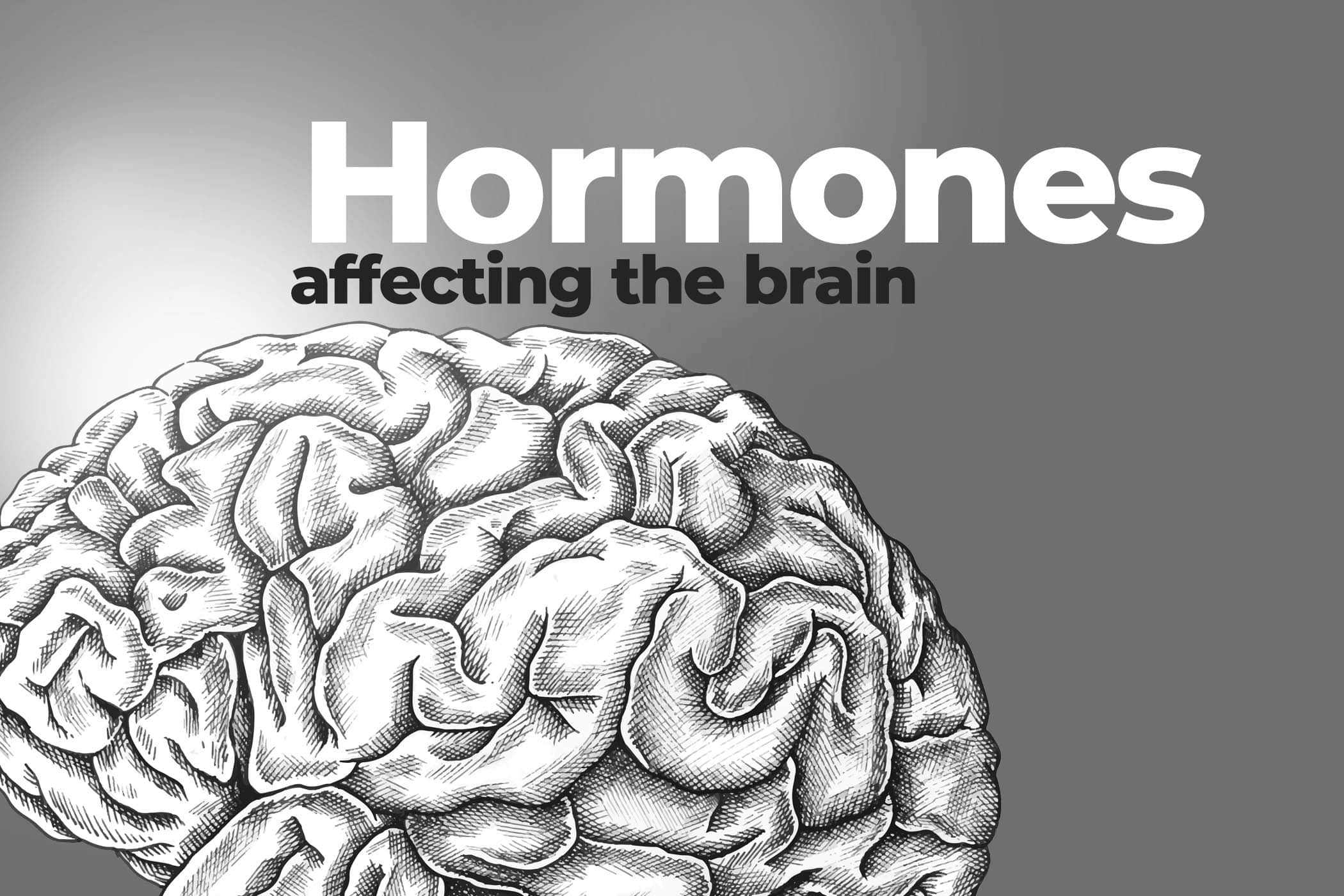 Hormones affecting brain function